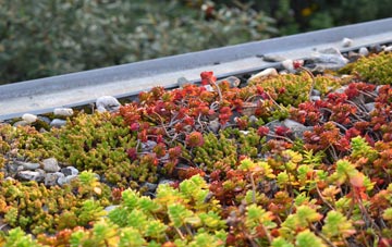 the cost of Old Balkello green roof installation