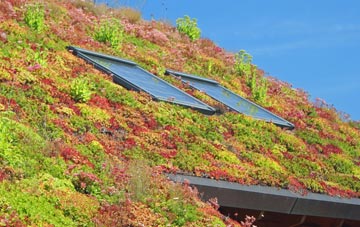 Old Balkello living roof systems